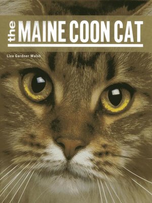 cover image of The Maine Coon Cat